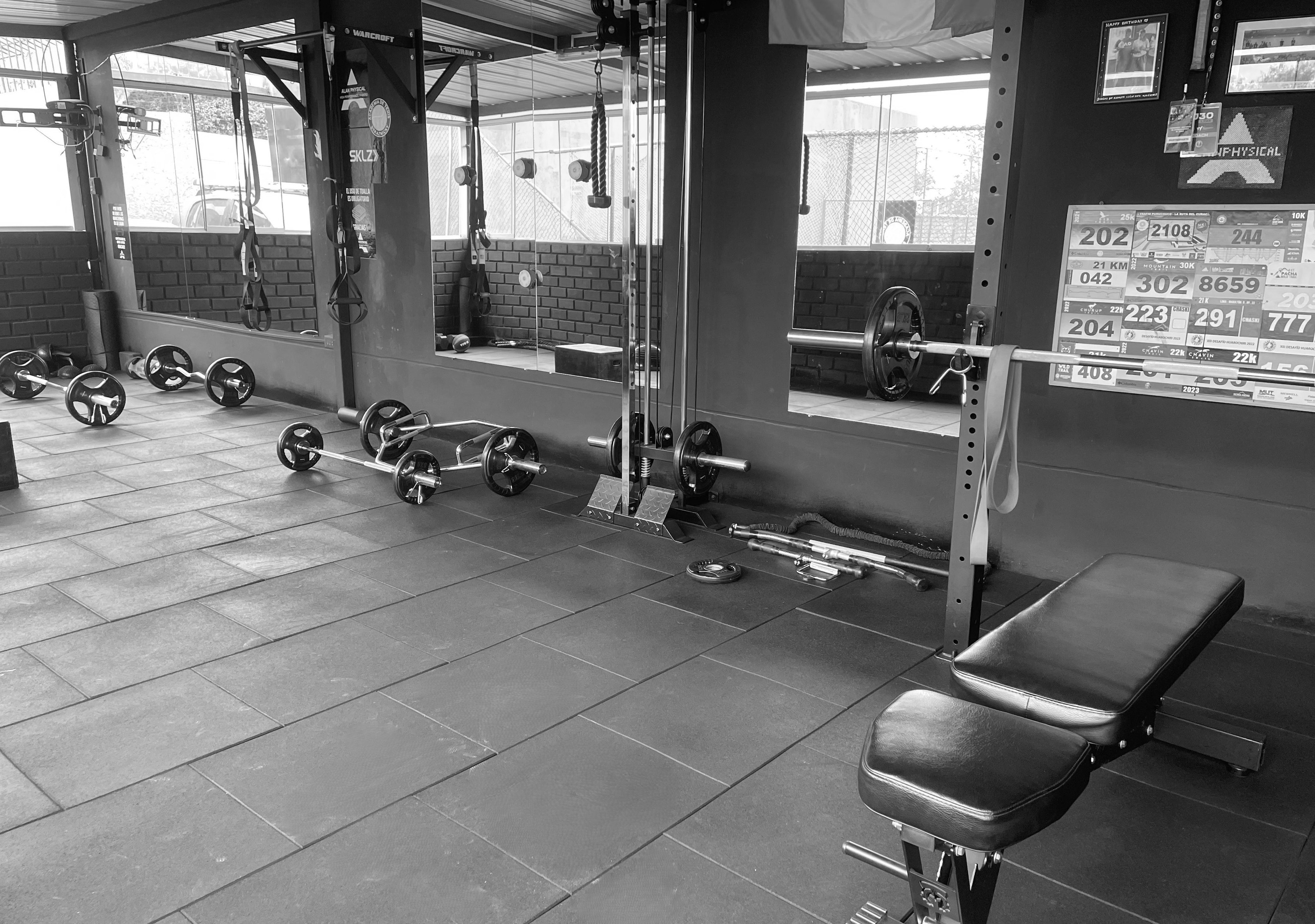 Historia del gimnasio